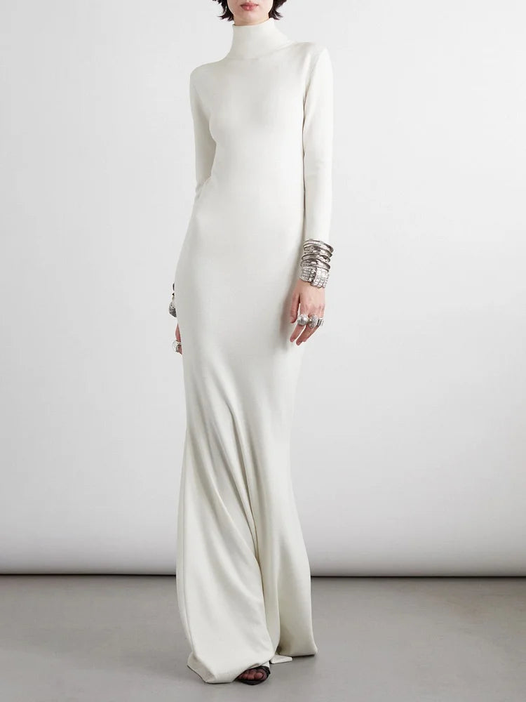 Long Sleeves Skinny Solid Color High Neck Maxi Dresses Simple atmospheric beautiful and unique desi