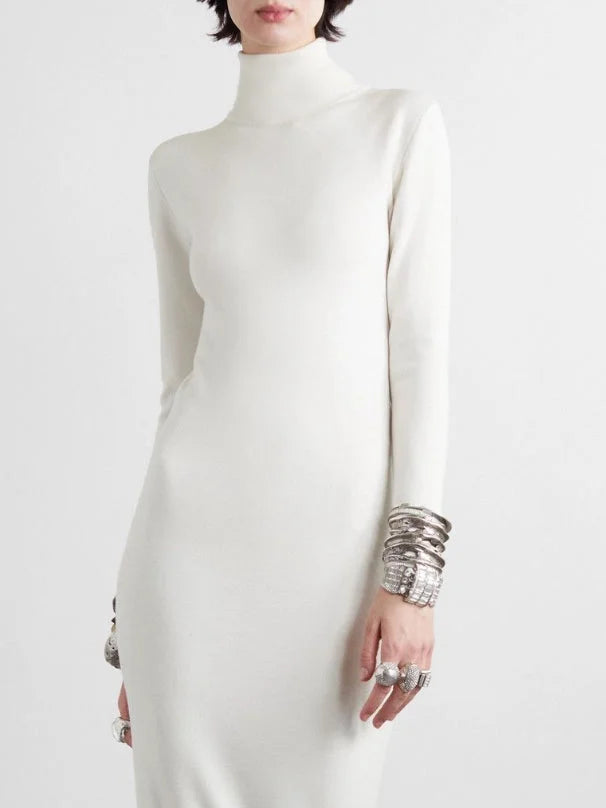 Long Sleeves Skinny Solid Color High Neck Maxi Dresses Simple atmospheric beautiful and unique desi