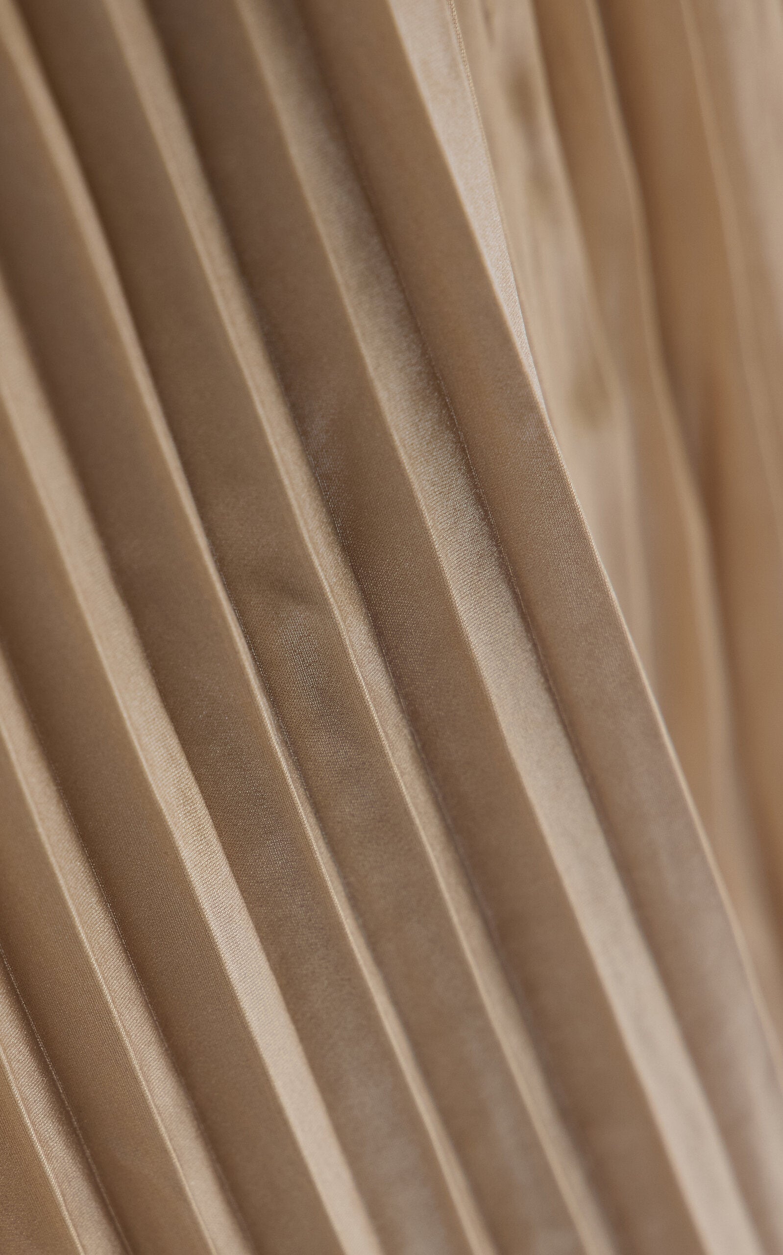 Reine Plisse Gown  Reine Plisse Gentle beautiful and grand