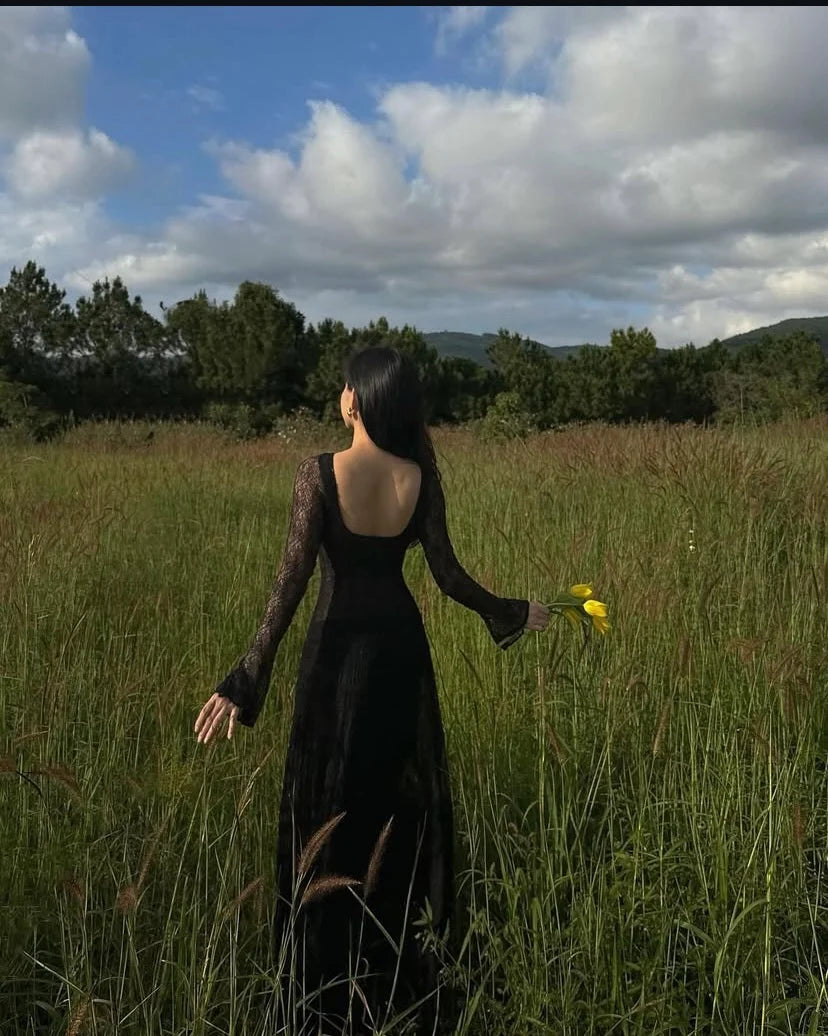 Black Lace Sexy Evening Dress Long Prom Dresses