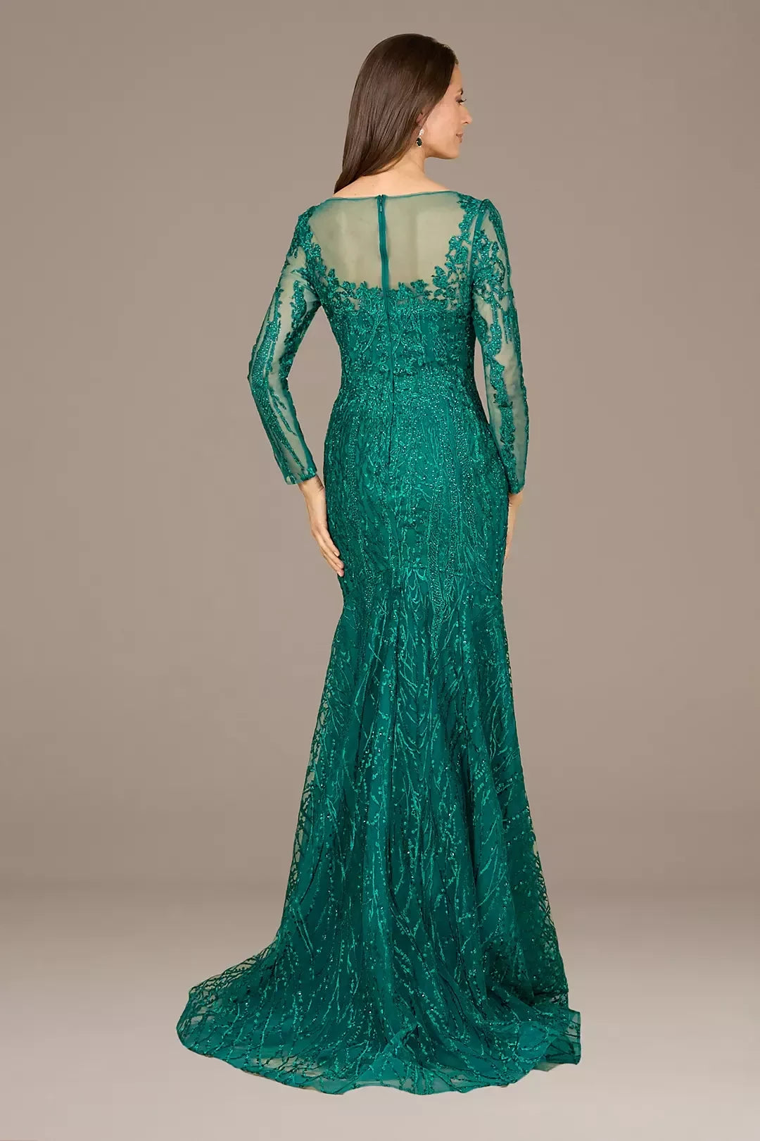 Regal Mermaid Illusion Neck Long Sleeve Lace Back Floor Length Mother of the Bride Dress