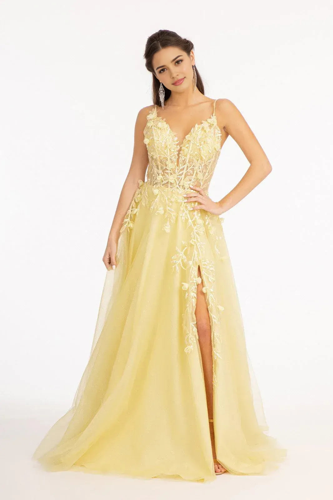 Romantic A-Line Plunging V Neck Spaghetti Strap Lace Up Back Floor Length Prom Dress